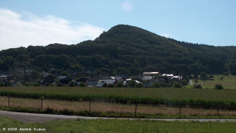 wrc2008_136.jpg