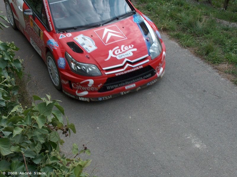 wrc2008_241.jpg