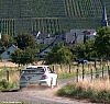 wrc2008_147.jpg