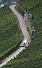 wrc2008_232.jpg