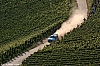 wrc2008_239.jpg