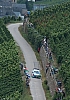 wrc2008_243.jpg
